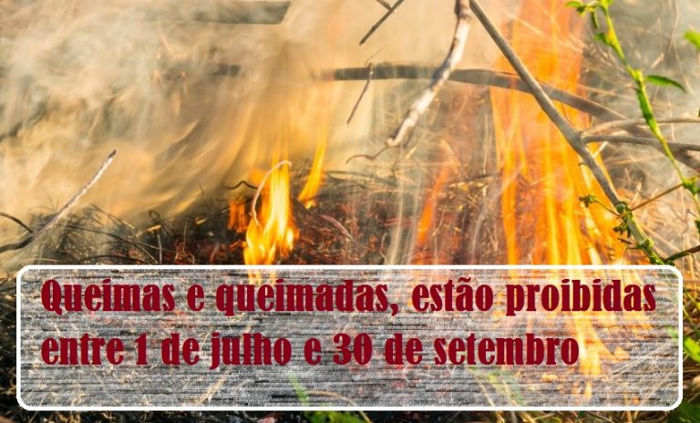 Read more about the article Queimas e queimadas: por norma proibidas entre 1 de julho e 30 de setembro.