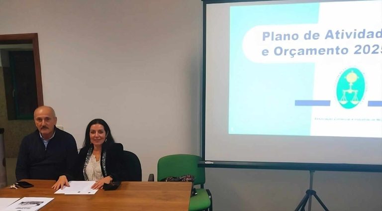 Read more about the article Apresentação e Aprovação do Plano de Atividades e do Orçamento para 2025