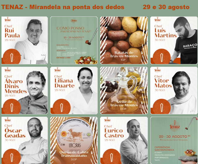 You are currently viewing TENAZ – Mirandela na ponta dos dedos