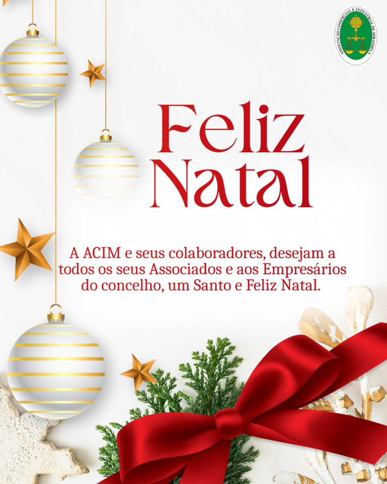 Read more about the article 🎅✨🎁 Boas Festas e um excelente Ano Novo! ✨🎄 🎅